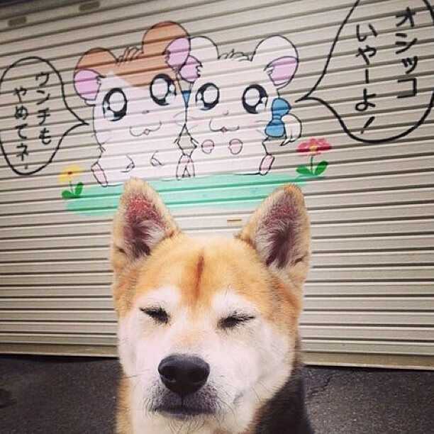 当北极光遇见童话防线，一场只存在于秒针上的对决