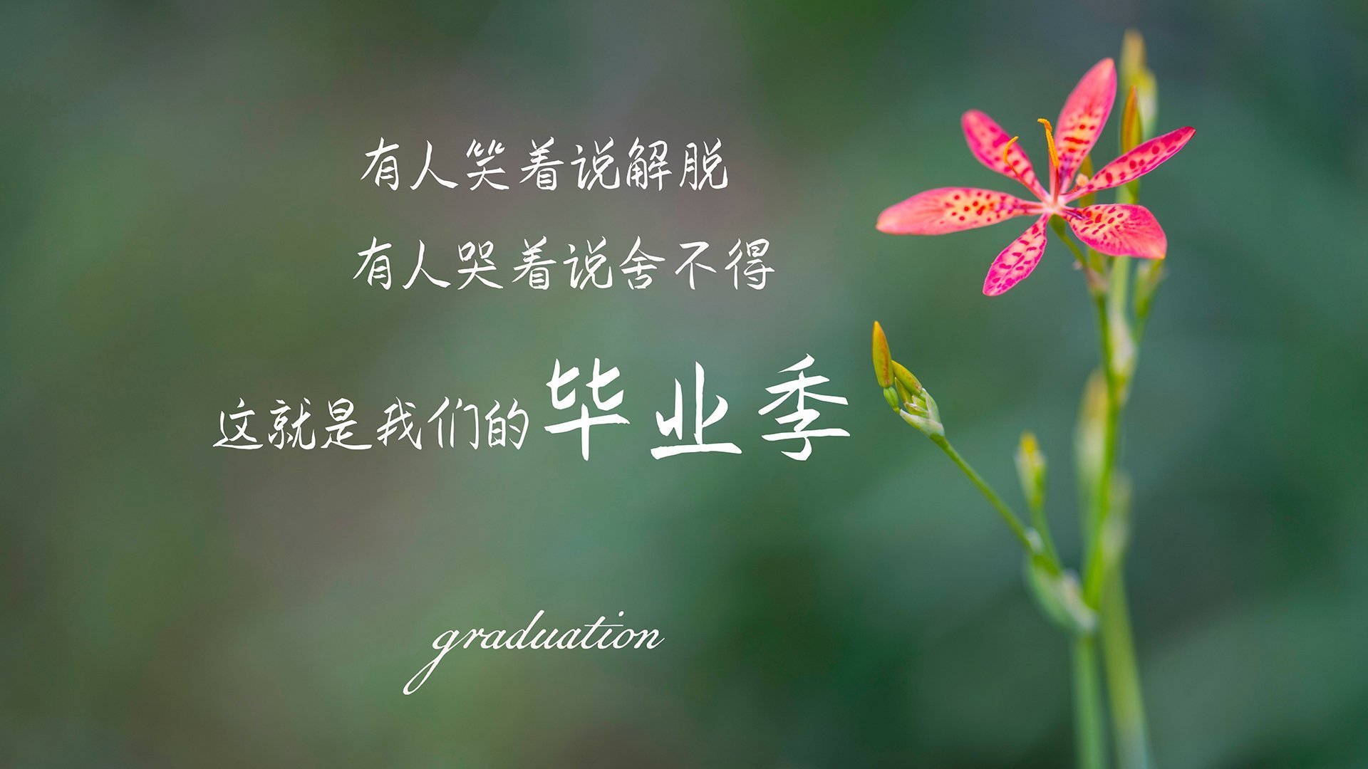 当世界杯遇见NBA，灰熊vs76人，一场世界杯级的篮球博弈