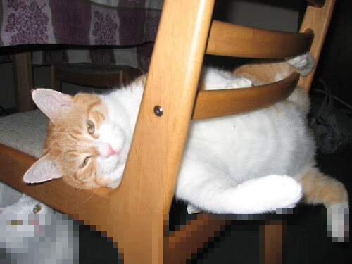 刹车比扣篮更锋利,当恩比德的指尖遇见F1弯道的心跳