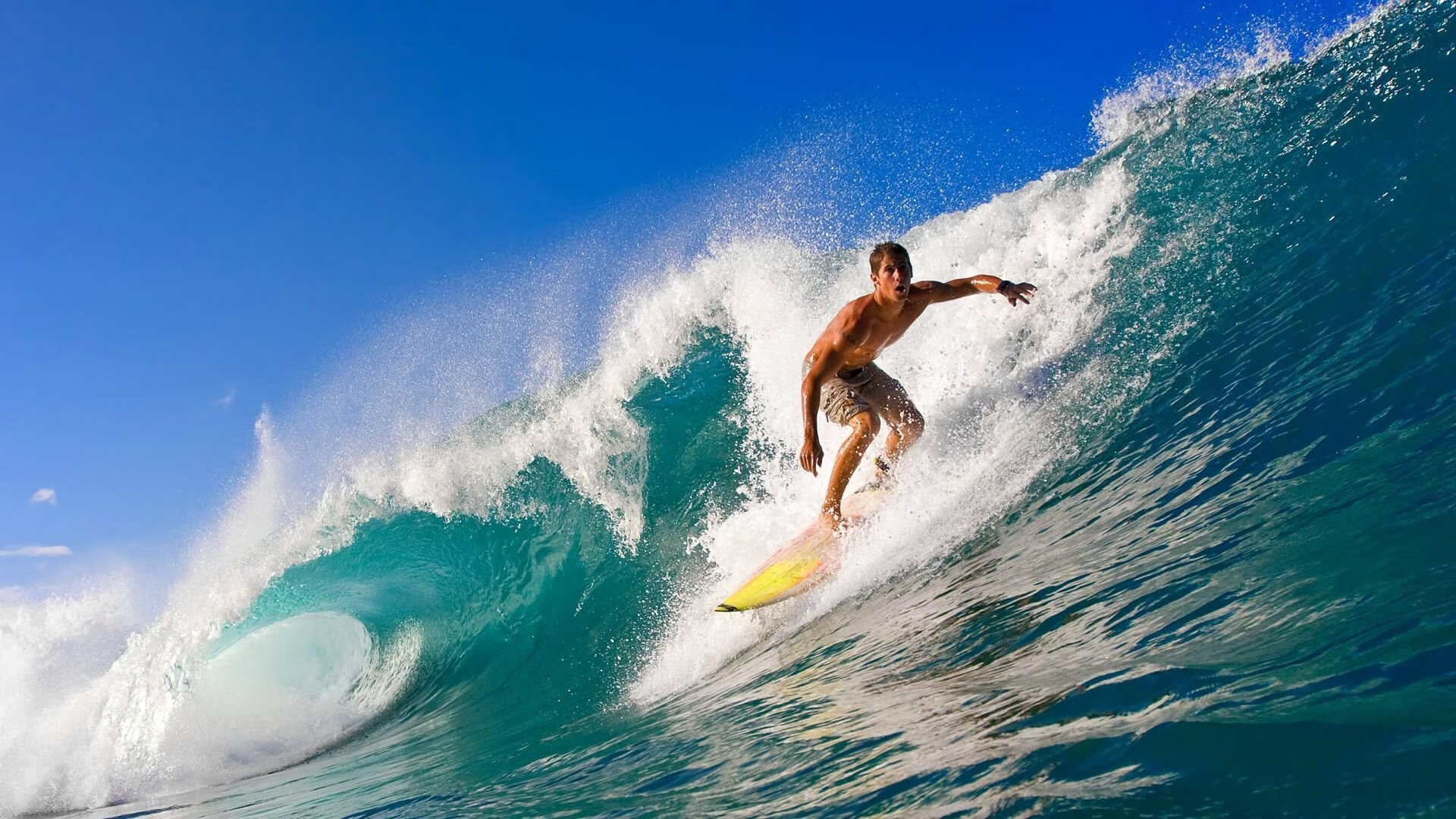 当F1的阿布扎比收官战遇上CBA的京浙大战