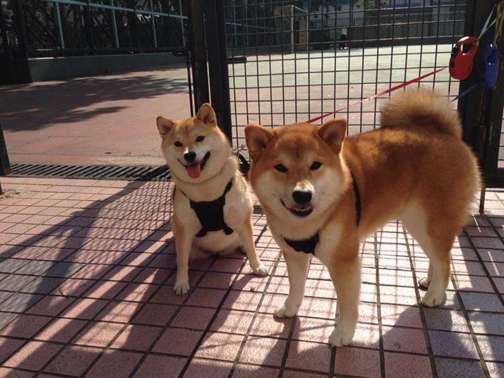 跨界接管，当布伦森在西甲德比中完成猛龙式逆转