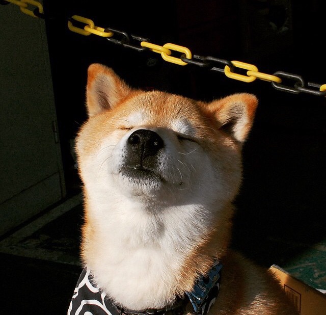 破局！巴西关键战突围伊拉克，内马尔圣保罗之夜的绝对主宰