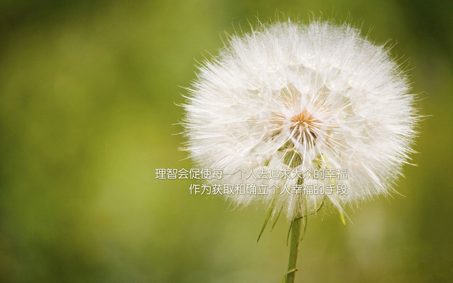 东方的子弹，西方的壁垒，巴雷拉冠军级封锁定格比利时的委内瑞拉之夜