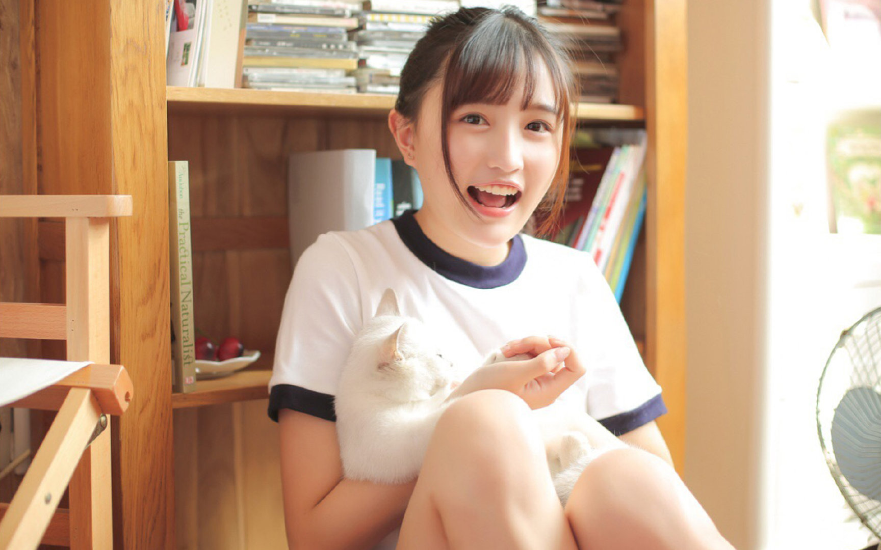 双城记，安菲尔德神迹与伊蒂哈德光芒