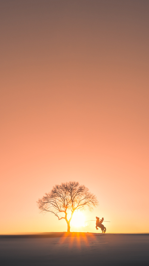 颠覆北欧神话，委内瑞拉如何用南美狂想曲重写年度焦点之战的剧本