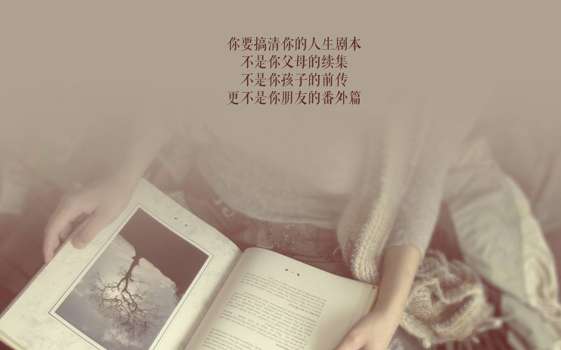 狼烟起于王朝余烬，爱德华兹一箭定江山，开拓者血战擒公牛