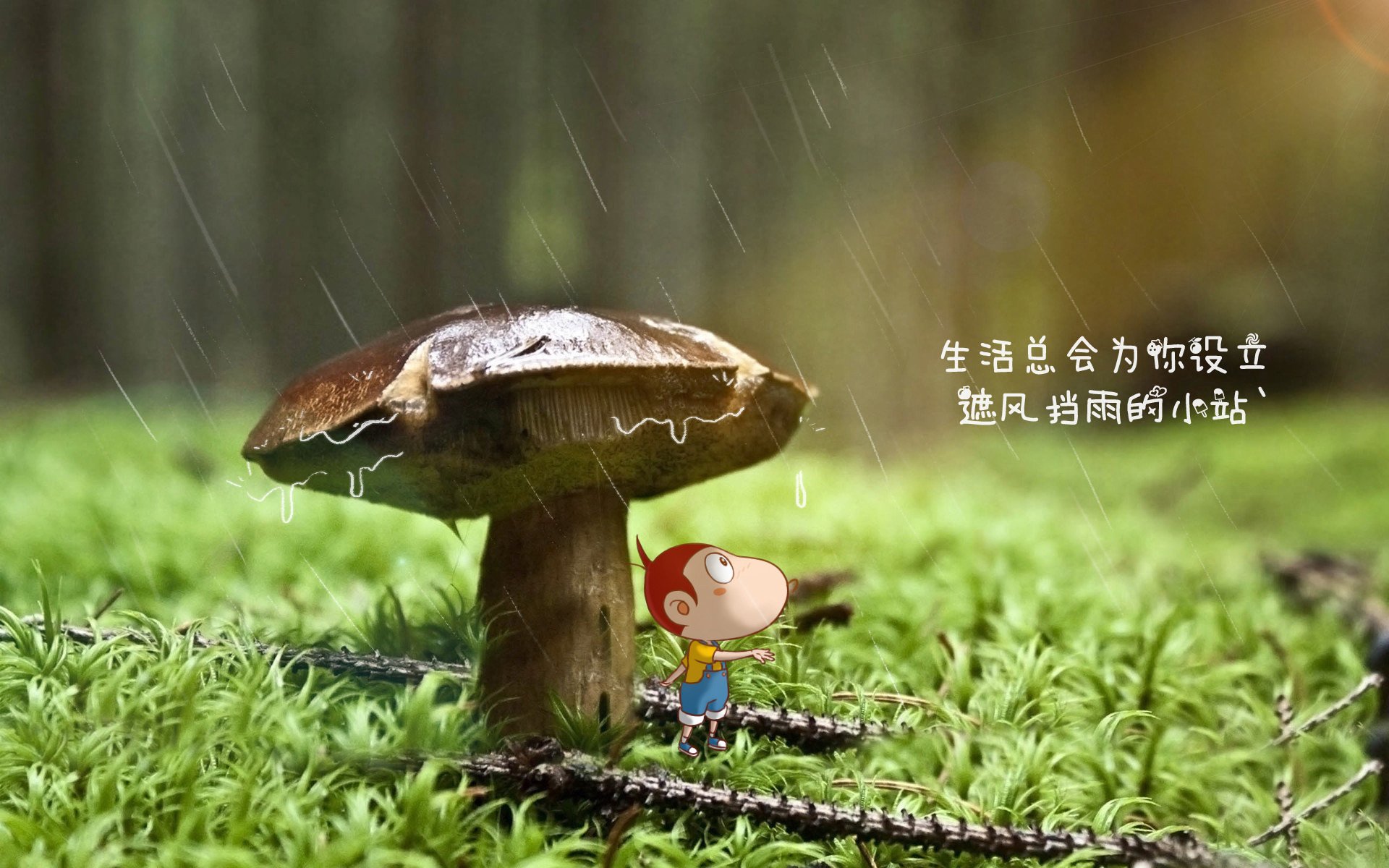 玫瑰城的血色黎明,归化之魂格列兹曼与保加利亚的惊天逆袭