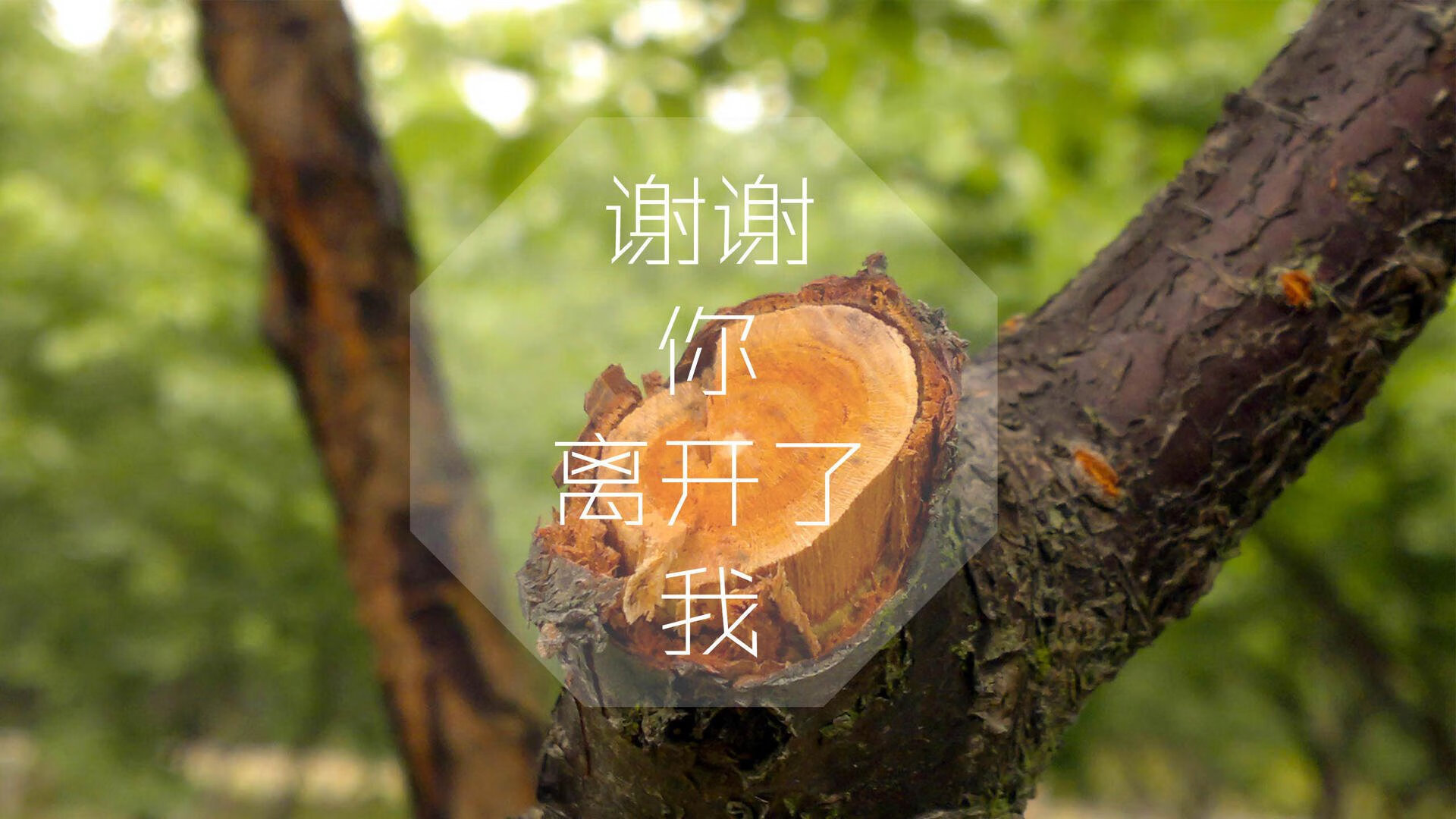 我们先来定一个既能体现碾压的震撼,又能解释托纳利这个意大利人为何出现在提及巴西和墨西哥的H组里的独特标题