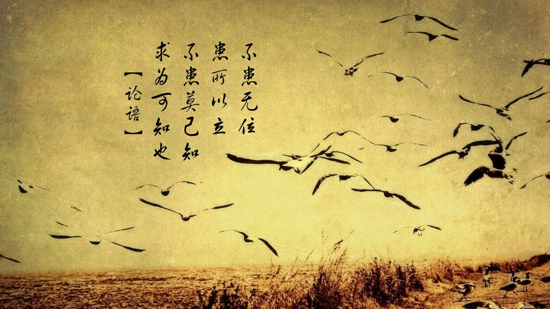 红魔觉醒,格列兹曼化身战术灵魂,韩国4-0碾压澳大利亚—2026世界杯D组最锋利的反击风暴