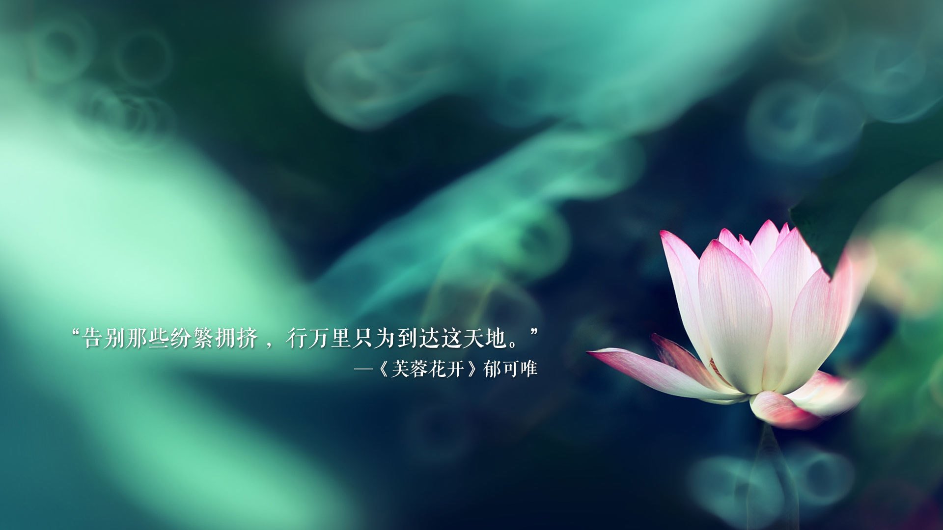 美加墨世界杯焦点战,阿联酋铁血完胜保加利亚,孙兴慜化身沙漠之王主导硬核对决