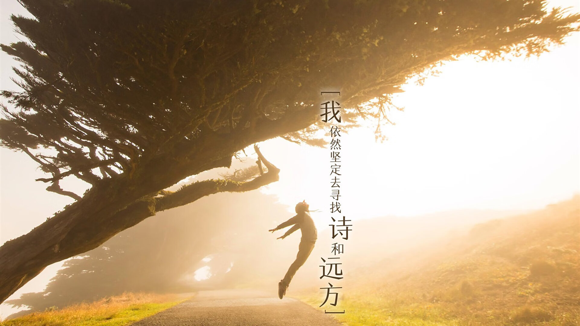1.惊魂34秒，齐耶赫的弧线如何劈开日本队的钢铁防线