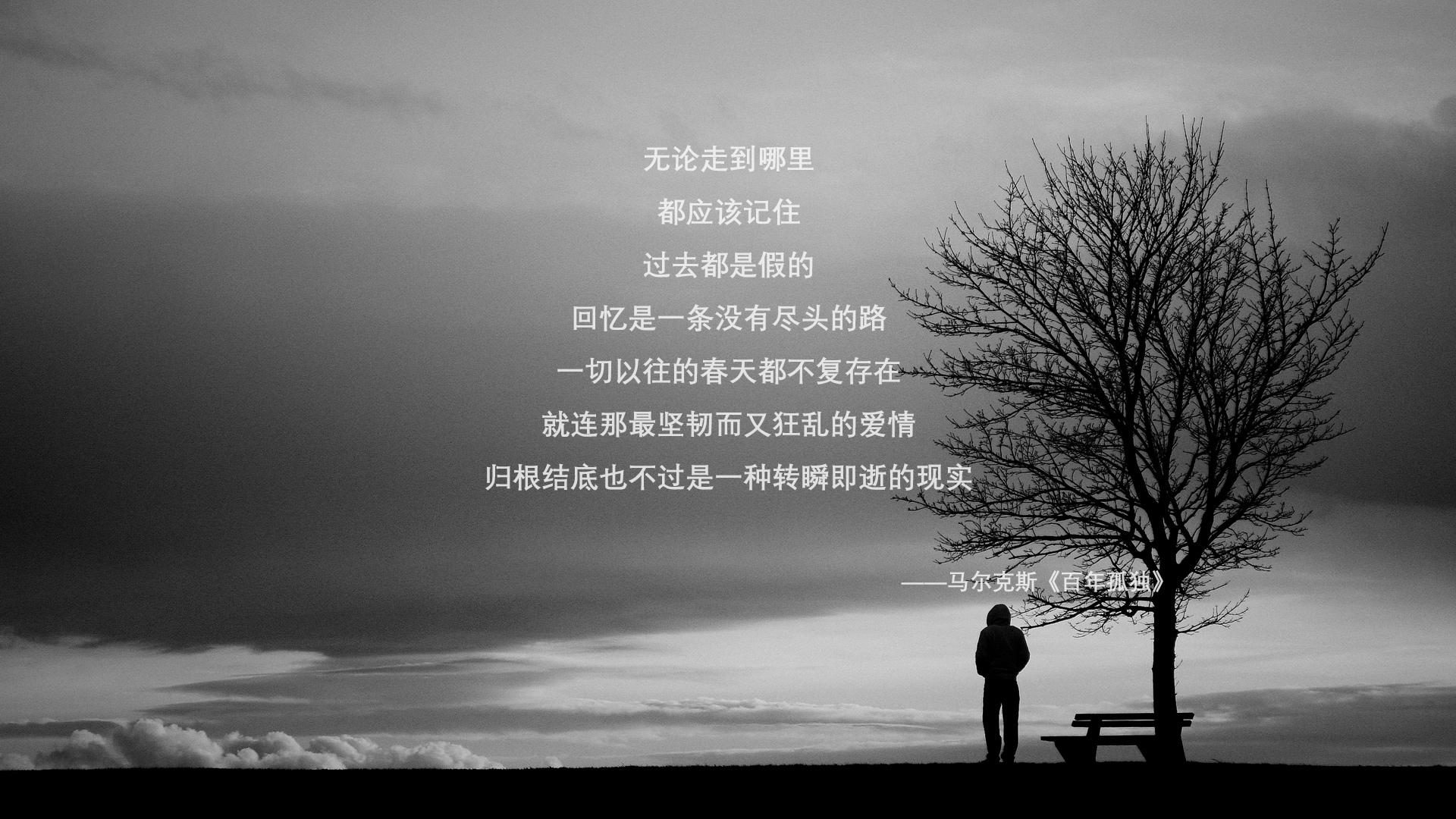 当袋鼠军团折翼,卢卡库的新衣与铁血澳洲的不死鸟之歌—记2026世界杯C组最离奇的逆转