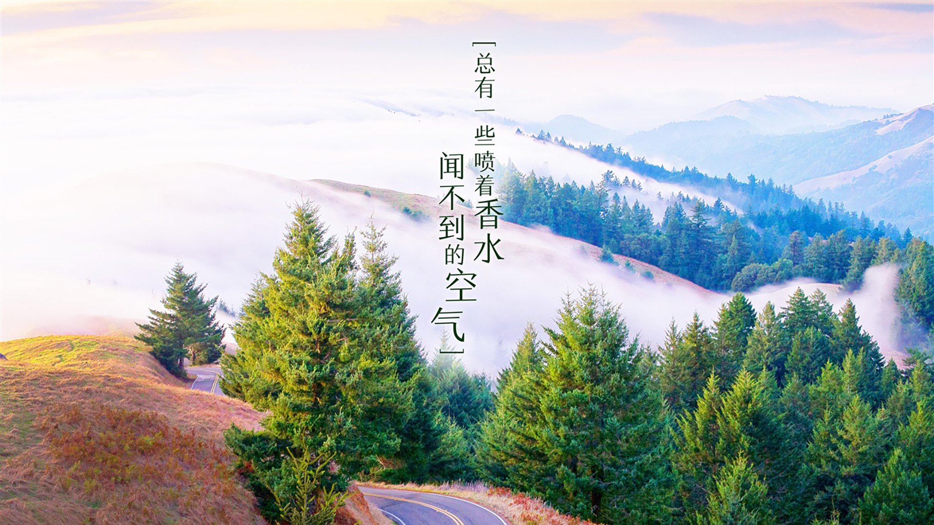 双核驱动,唯一解法,姆巴佩的利刃与葡萄牙的中场节拍器,如何撬开G组突尼斯铁桶阵