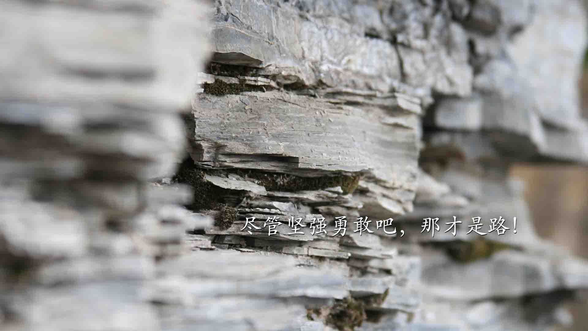以下是为您构思的文章标题与内容